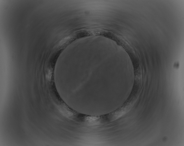 X0000097000139200803071126