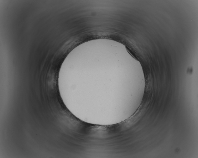 X0000097000140200803071126