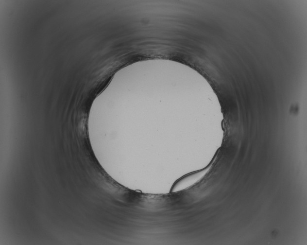 X0000097000141200803071126