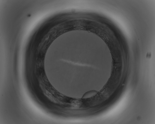 X0000097000143200803071126
