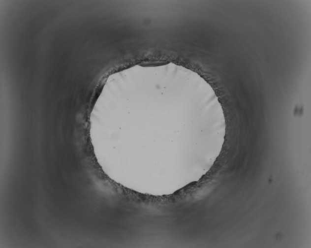 X0000097000144200803071126