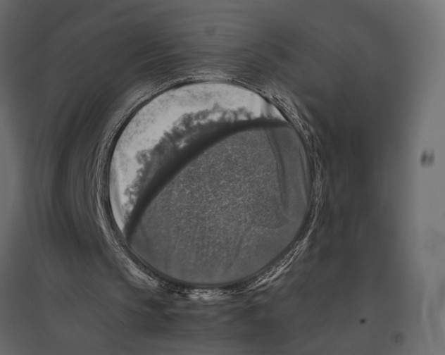 X0000097000145200803071125