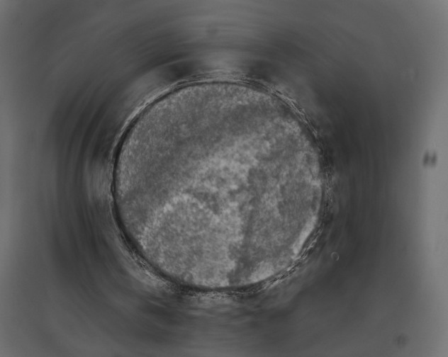 X0000097000146200803071125