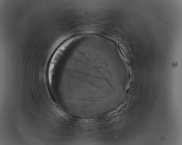 X0000097000147200803071125