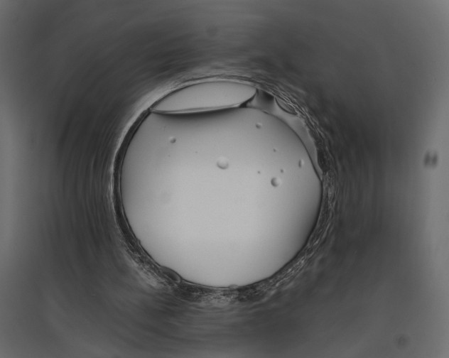 X0000097000148200803071125