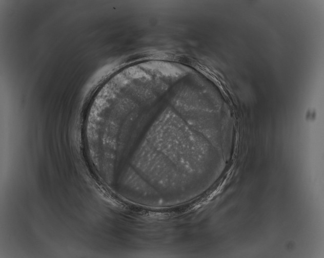 X0000097000149200803071125