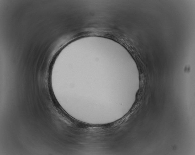 X0000097000150200803071125