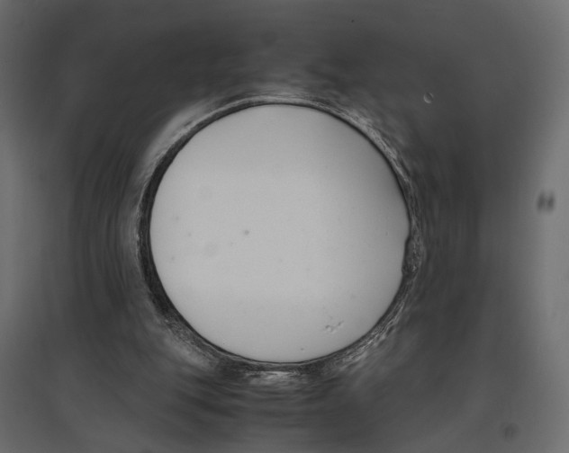 X0000097000151200803071126