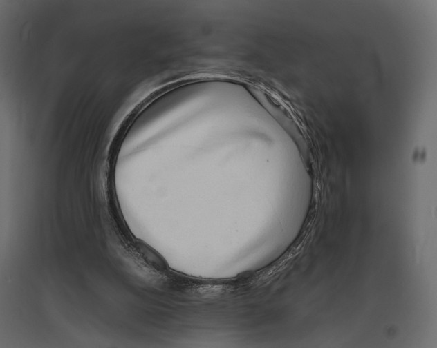 X0000097000152200803071126