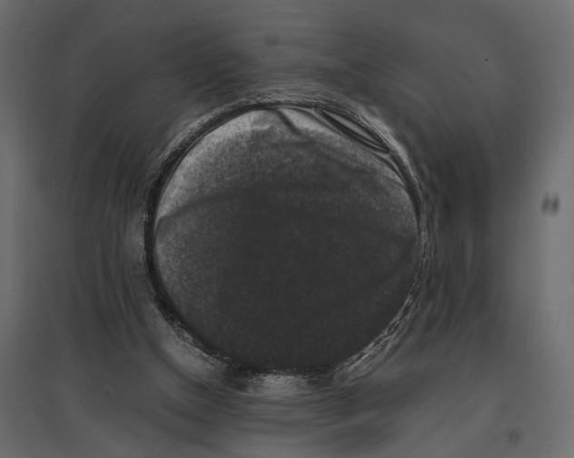X0000097000154200803071126