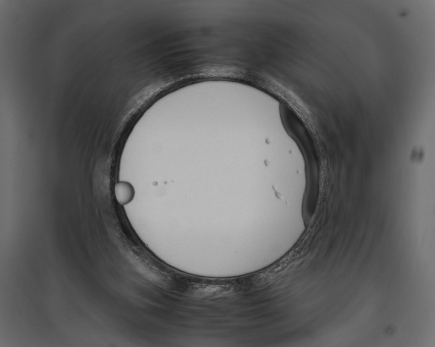X0000097000155200803071126