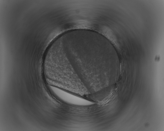 X0000097000156200803071126