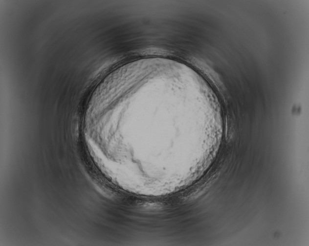 X0000097000157200803071126