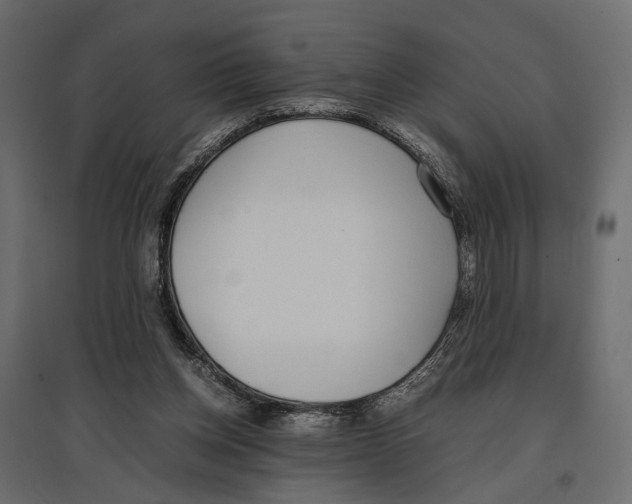X0000097000158200803071126