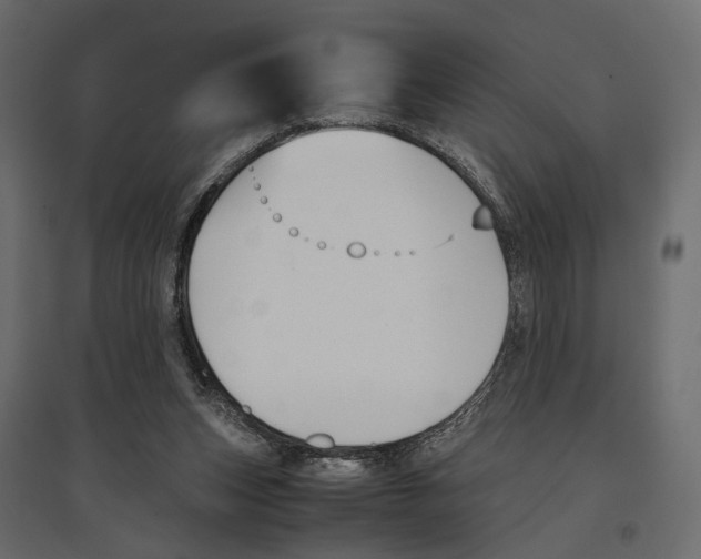 X0000097000159200803071126