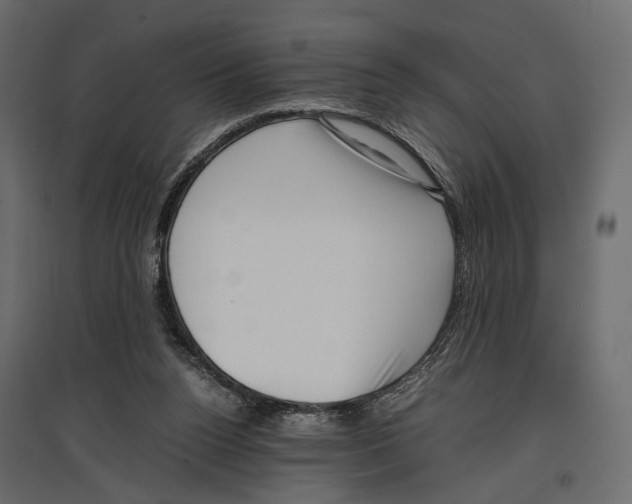 X0000097000160200803071126