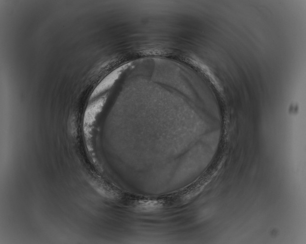 X0000097000161200803071126