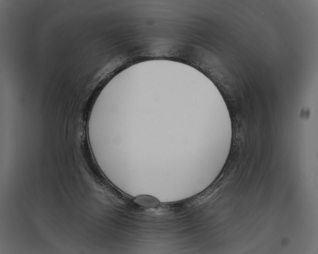X0000097000164200803071126