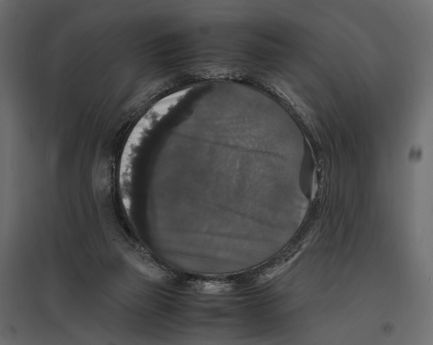X0000097000165200803071126