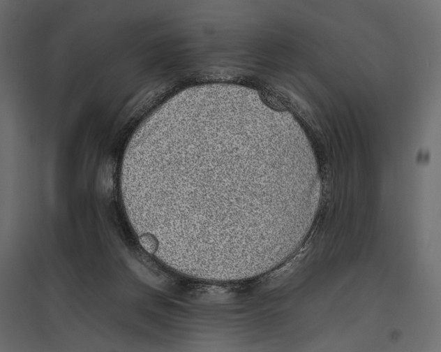 X0000097000166200803071126