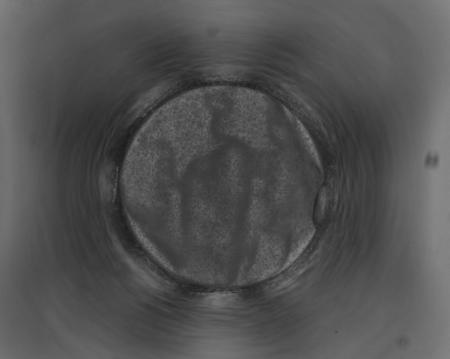 X0000097000168200803071126