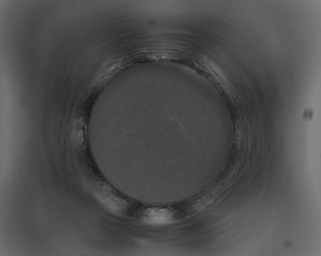 X0000097000169200803071126