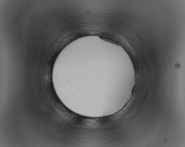 X0000097000170200803071126