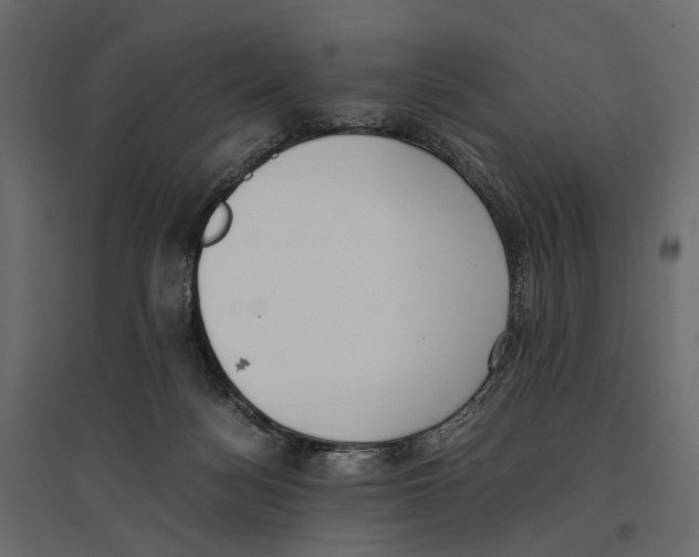 X0000097000172200803071126