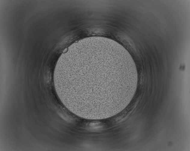 X0000097000173200803071126