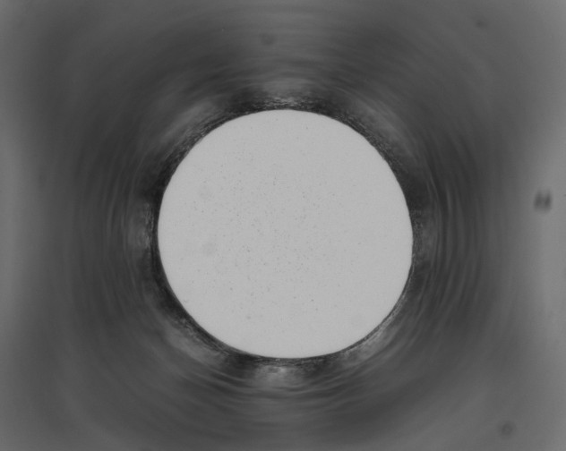 X0000097000174200803071126
