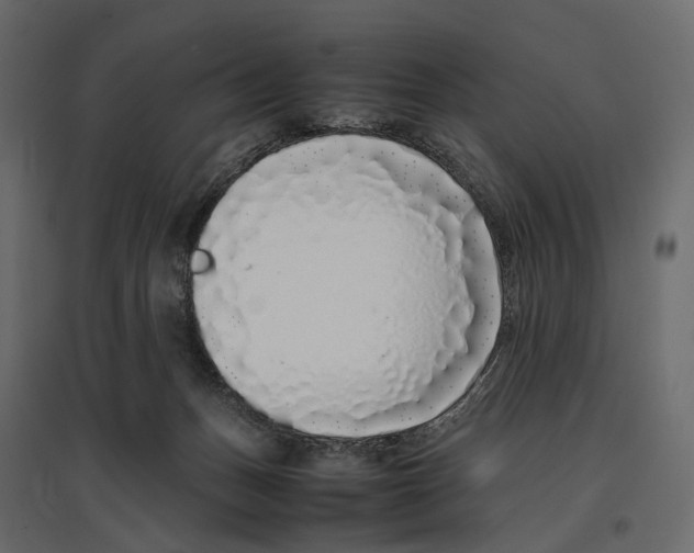 X0000097000175200803071126