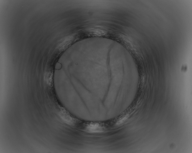 X0000097000177200803071126