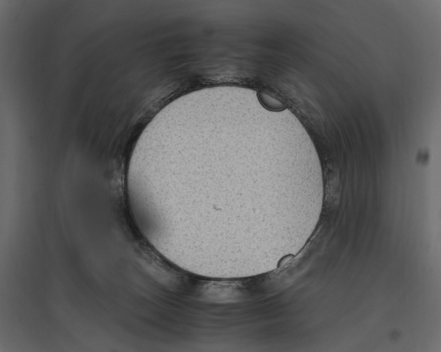 X0000097000179200803071126