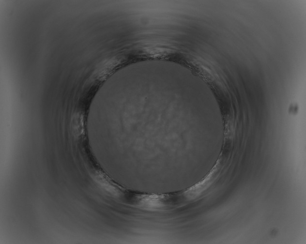 X0000097000182200803071126