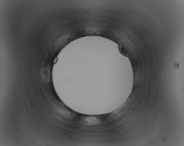 X0000097000183200803071126