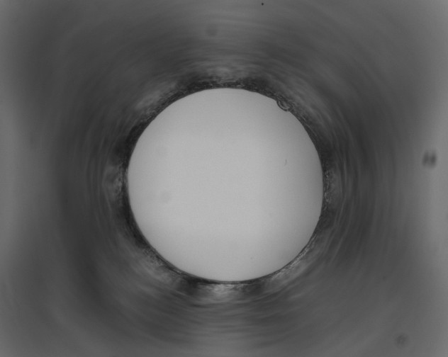 X0000097000184200803071126
