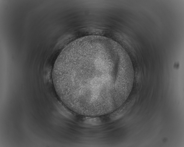 X0000097000185200803071126