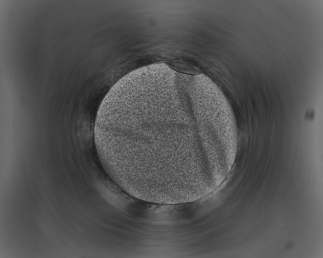 X0000097000186200803071126