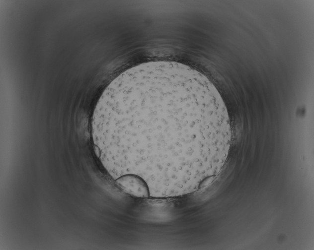 X0000097000187200803071126