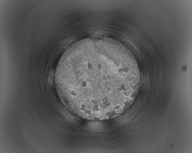 X0000097000189200803071126