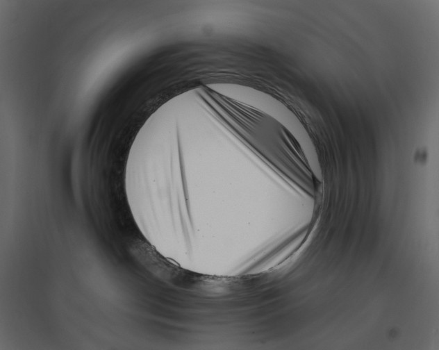 X0000097000190200803071126