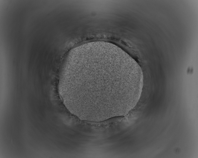 X0000097000192200803071126