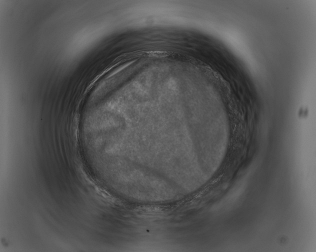 X0000097000194200803071125