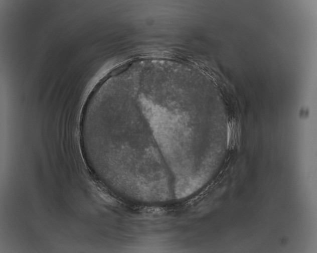 X0000097000195200803071125