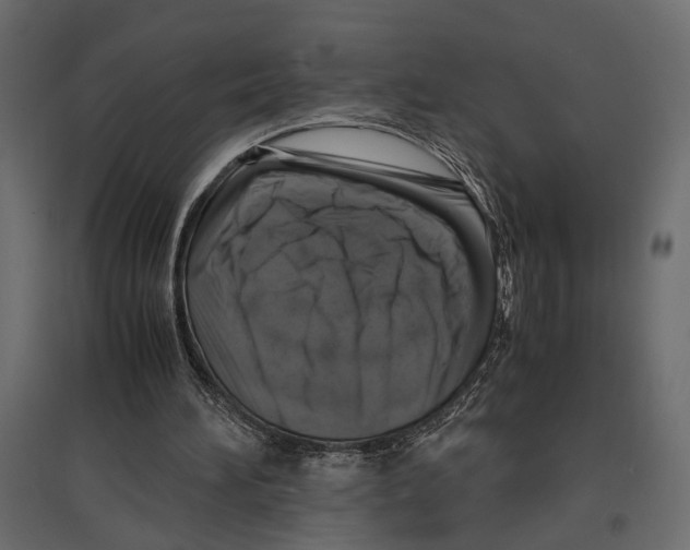 X0000097000196200803071125