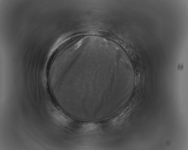 X0000097000198200803071125
