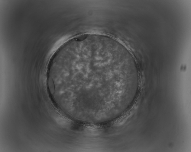 X0000097000199200803071125
