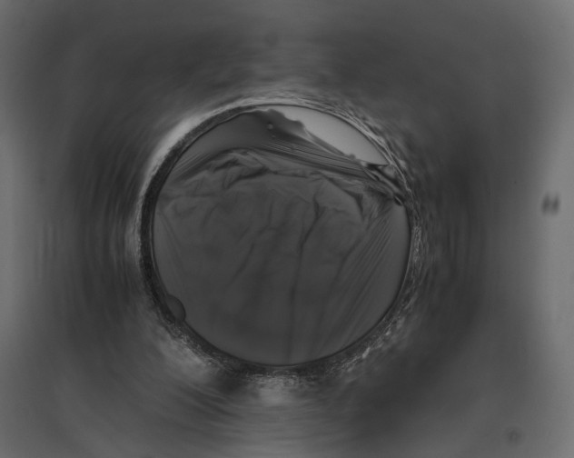 X0000097000200200803071125