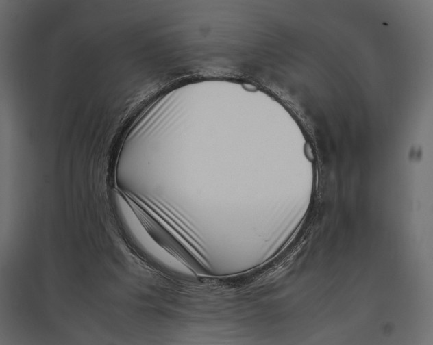 X0000097000201200803071125