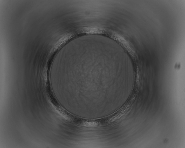 X0000097000202200803071125
